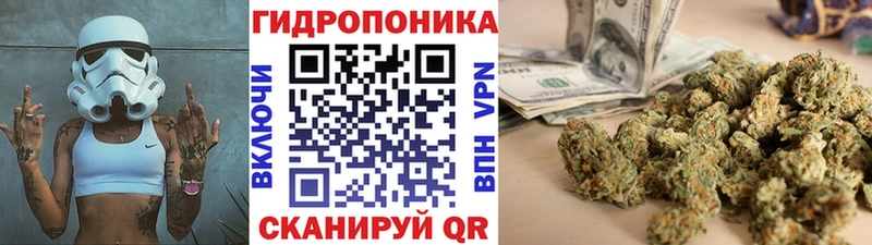 Где найти наркотики Ржев Псилоцибиновые грибы  А ПВП  КОКАИН  Гашиш  МЕФ  Метадон  Канабис 
