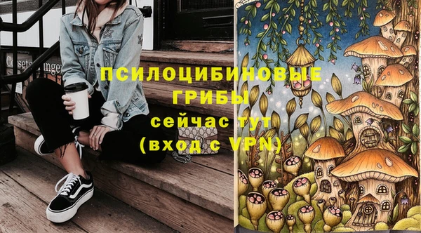 таблы Аркадак