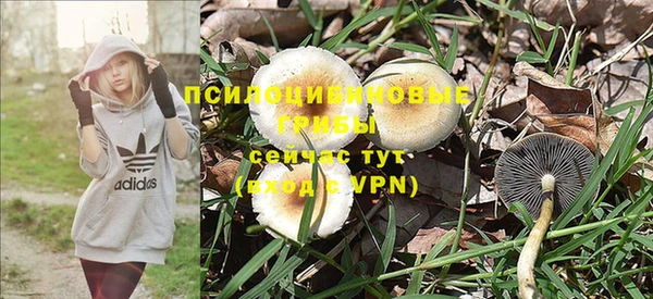таблы Аркадак
