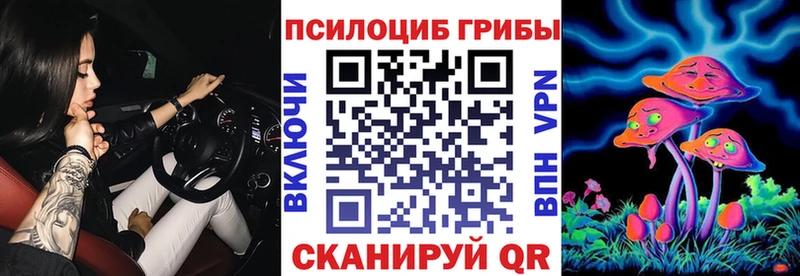 Галлюциногенные грибы Psilocybe  Ржев 